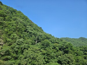 20260720_082144